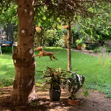 Grosslingova Garden - Old Town Μπρατισλάβα